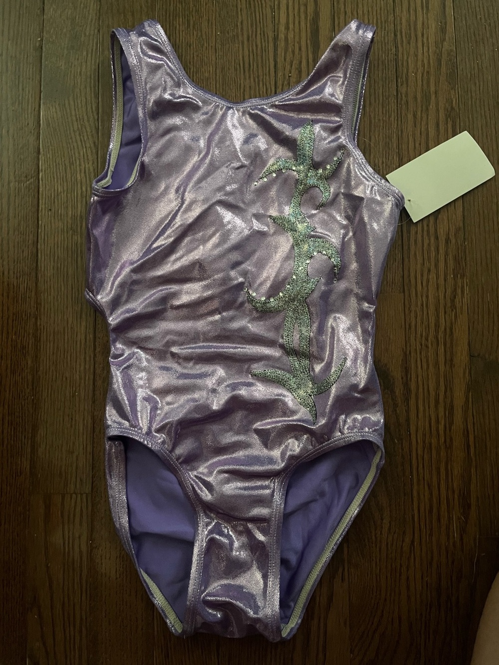 NWT custom Melody adult XS leotard.